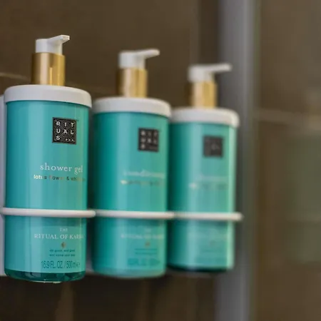 诺富特利兹中心酒店 4*