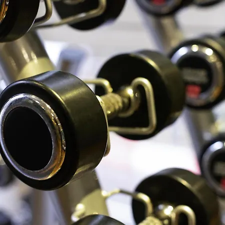 酒店 诺富特利兹中心酒店 4*